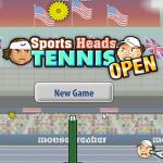 Sports Heads Tennis Open