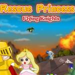 Rescue Princess 2