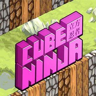 Cube Ninja