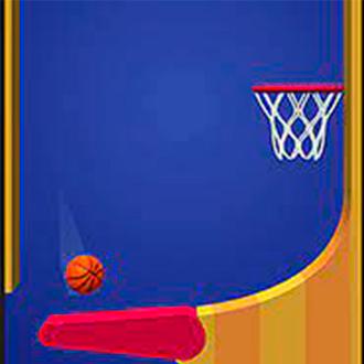Flipper Dunk 3D