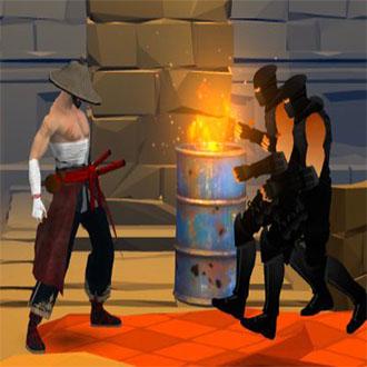 Samurai Fighter